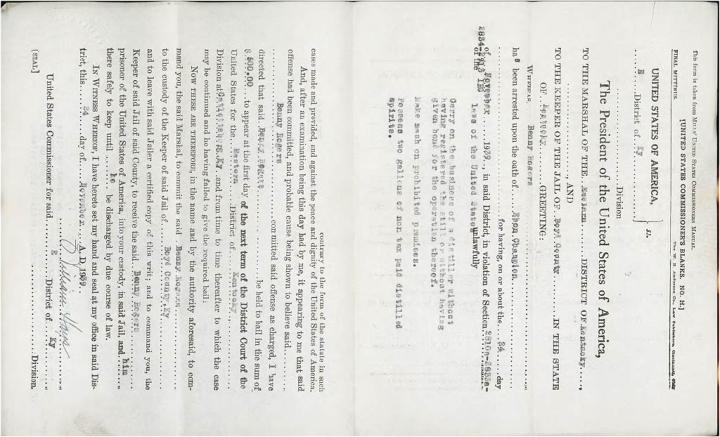 Witness Affidavit Blank