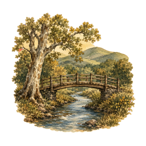 Shadows Along the Creek