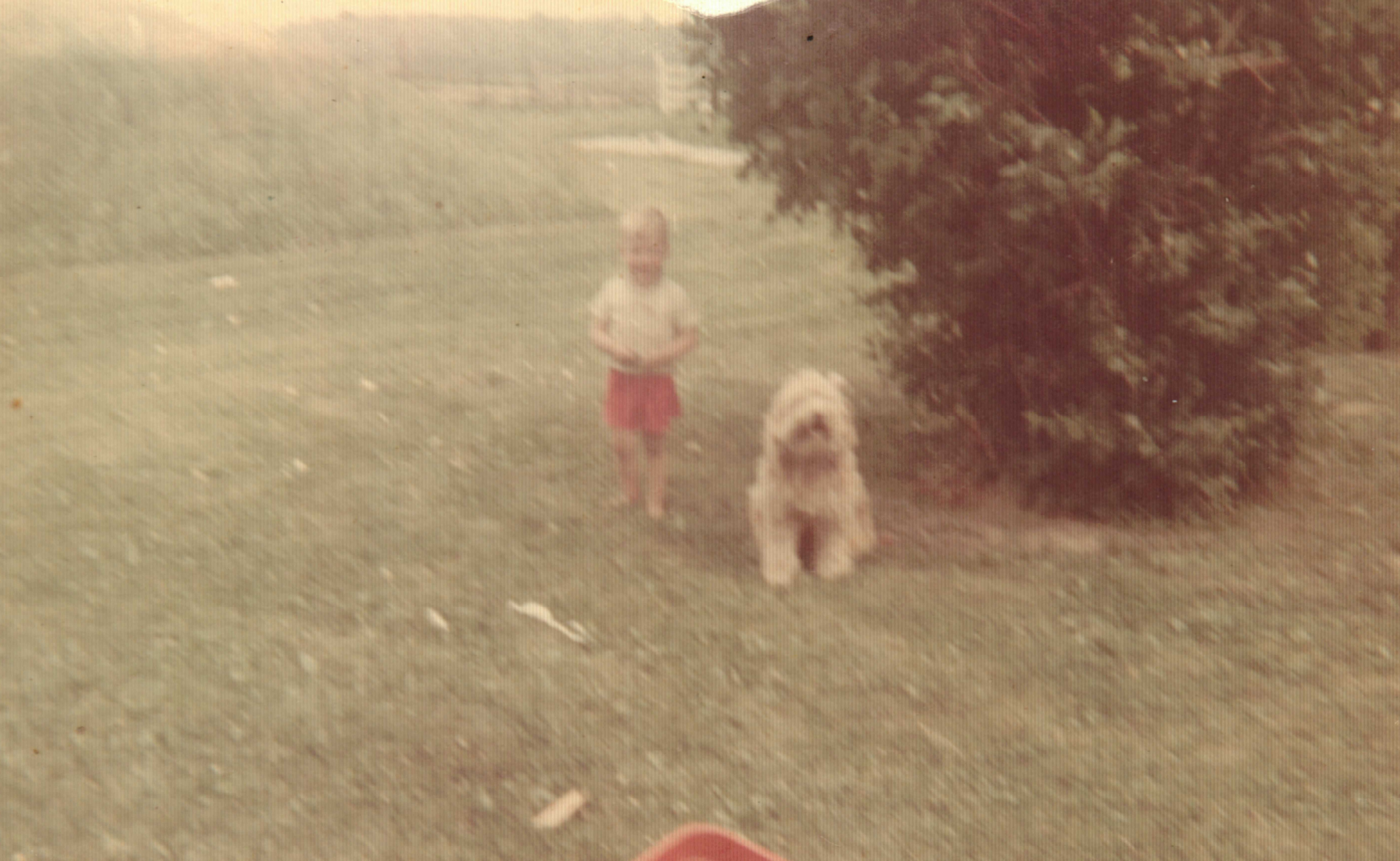 Nathan Rogers & Toby our English Sheepdog